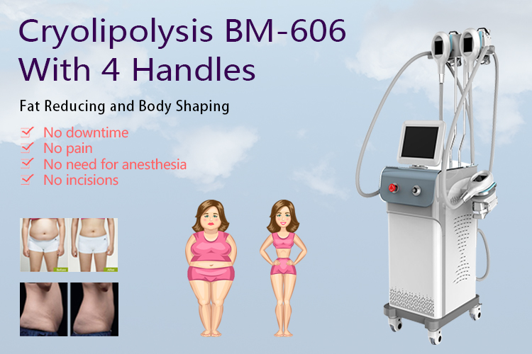 Cryolipolysis Body Slimming 