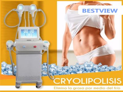 Cryolipolysis Body Slimming Machine has been exported to Spain